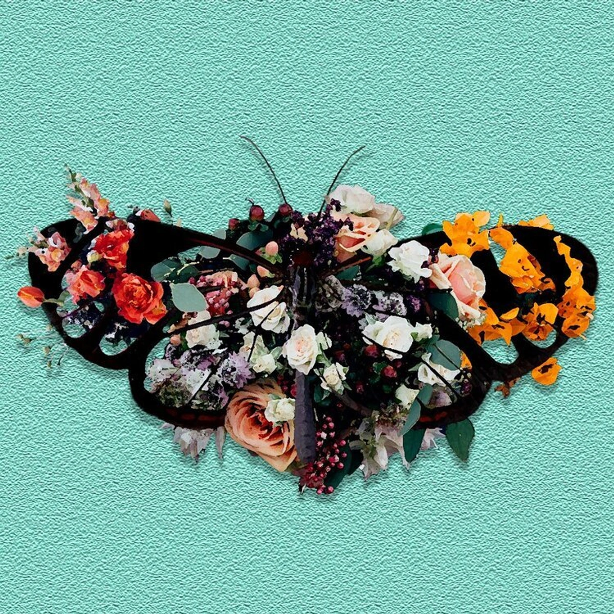 i’m not a writer, i just work as one